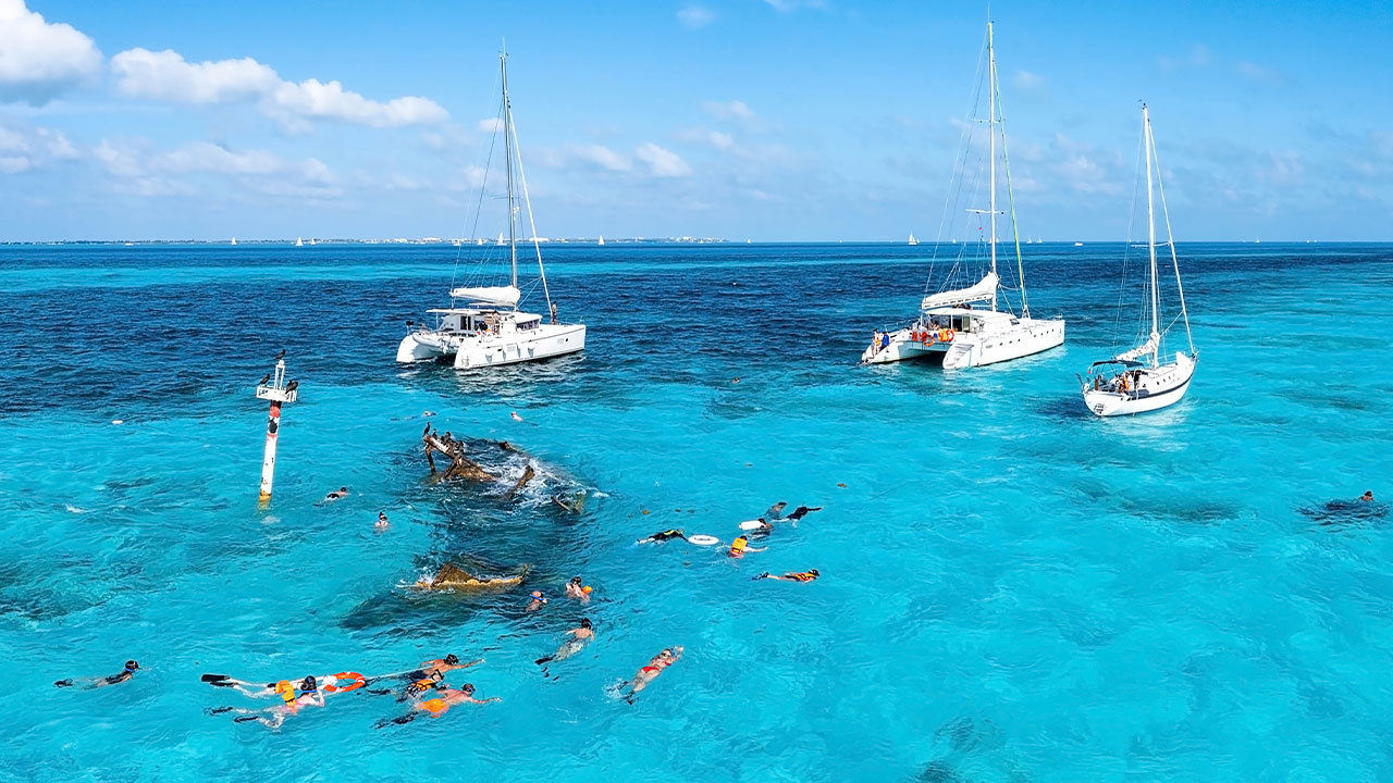 산호초 스노클링